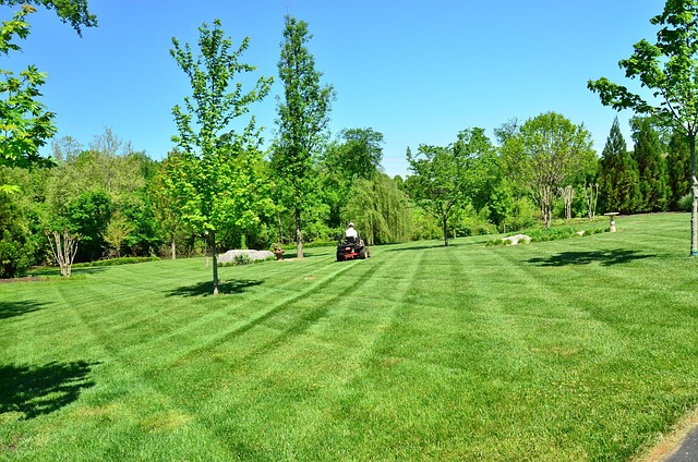 lawn care 643557 640