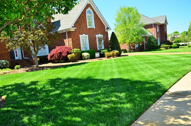 lawn care 643561 640
