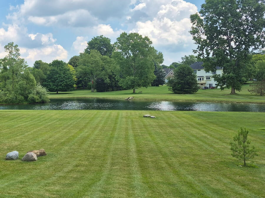 ann arbor lawn mowing pond view.jpg